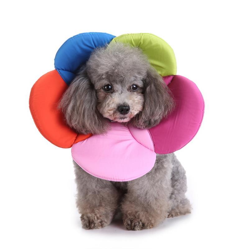 The Snugglesafe Pet Haven