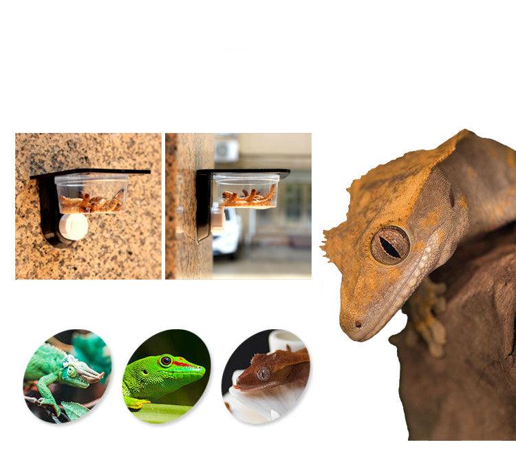 Versatile Pet Hanging Basin